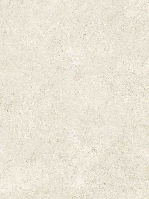Close-up of a pale limestone surface with fine mineral speckles